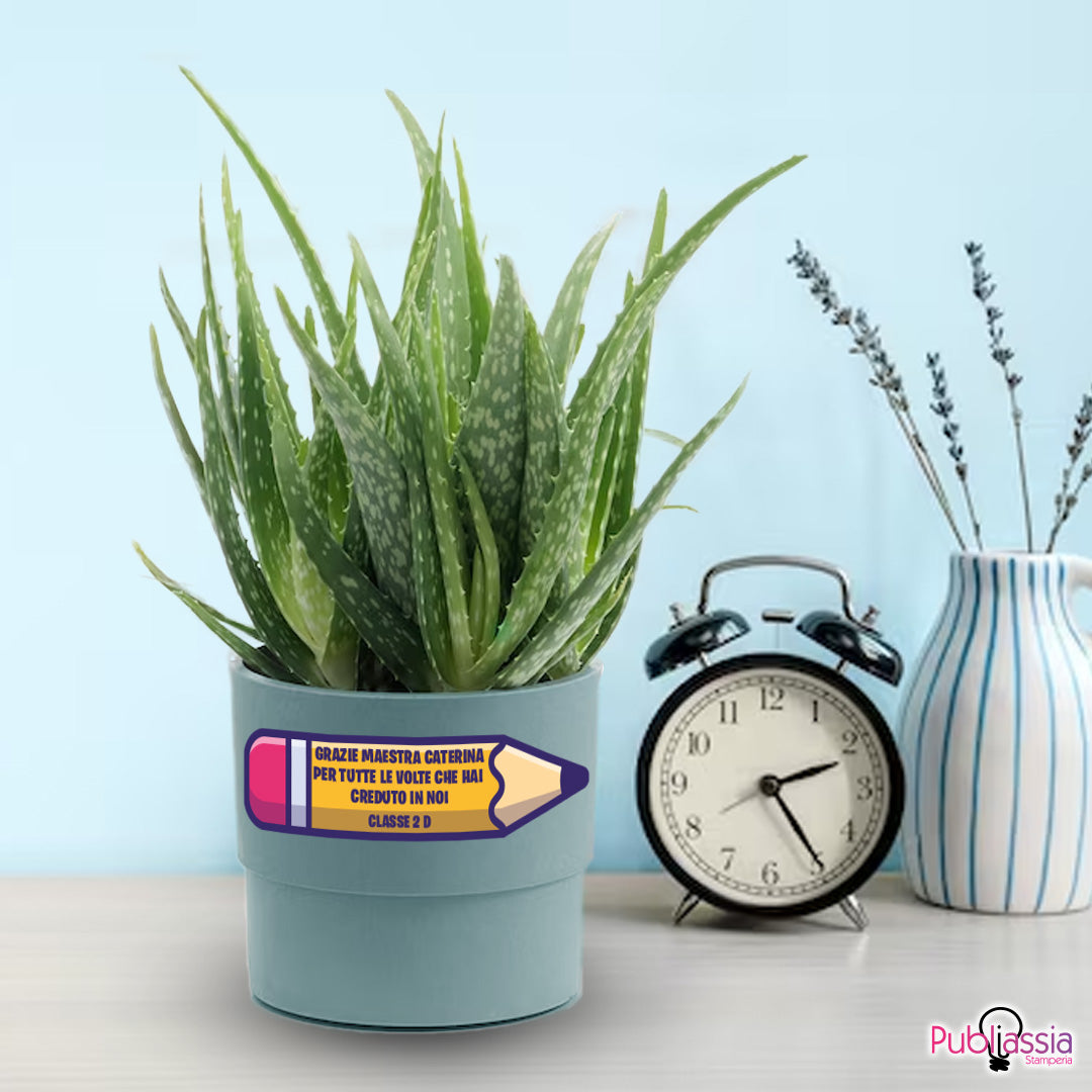 Grazie maestra per tutte le volte che hai creduto in noi - Portavaso personalizzato