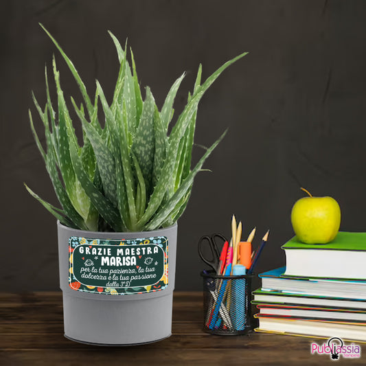 Dolce maestra - Portavaso personalizzato