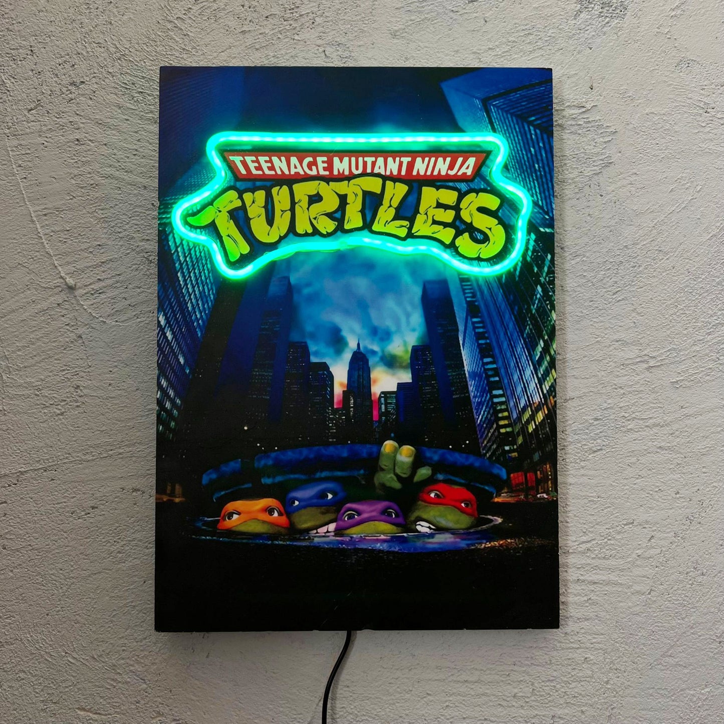 Ninja - Quadretto con Neon Led