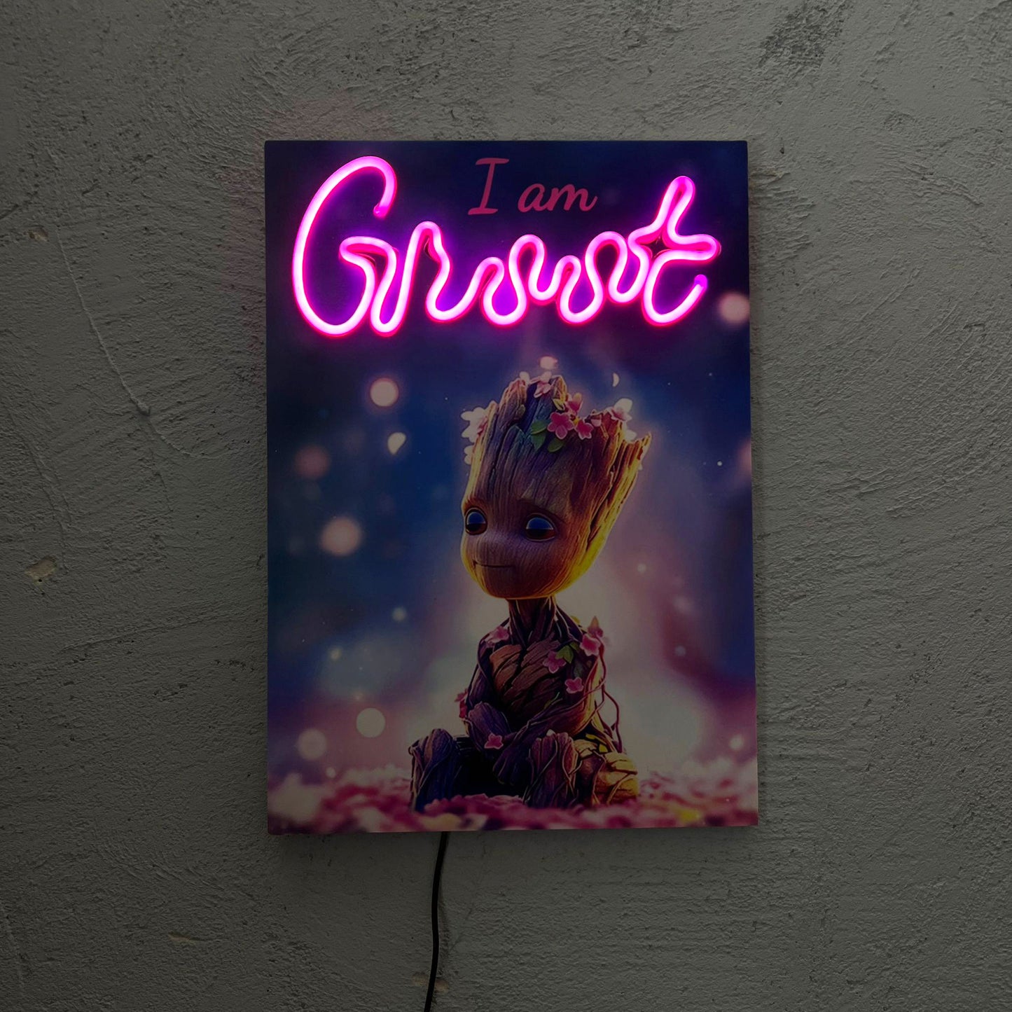 Magic Color - Quadretto con Neon Led