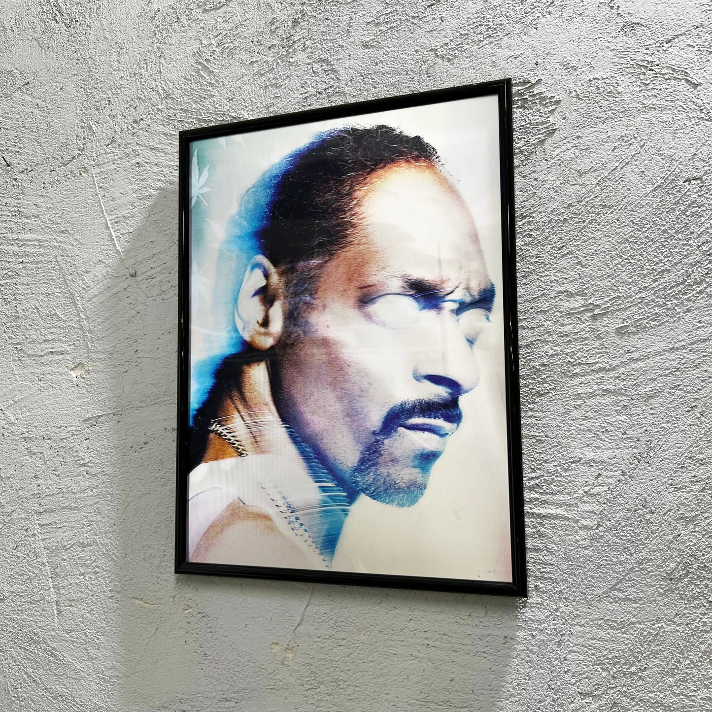 Snoop - Quadretto poster 3D