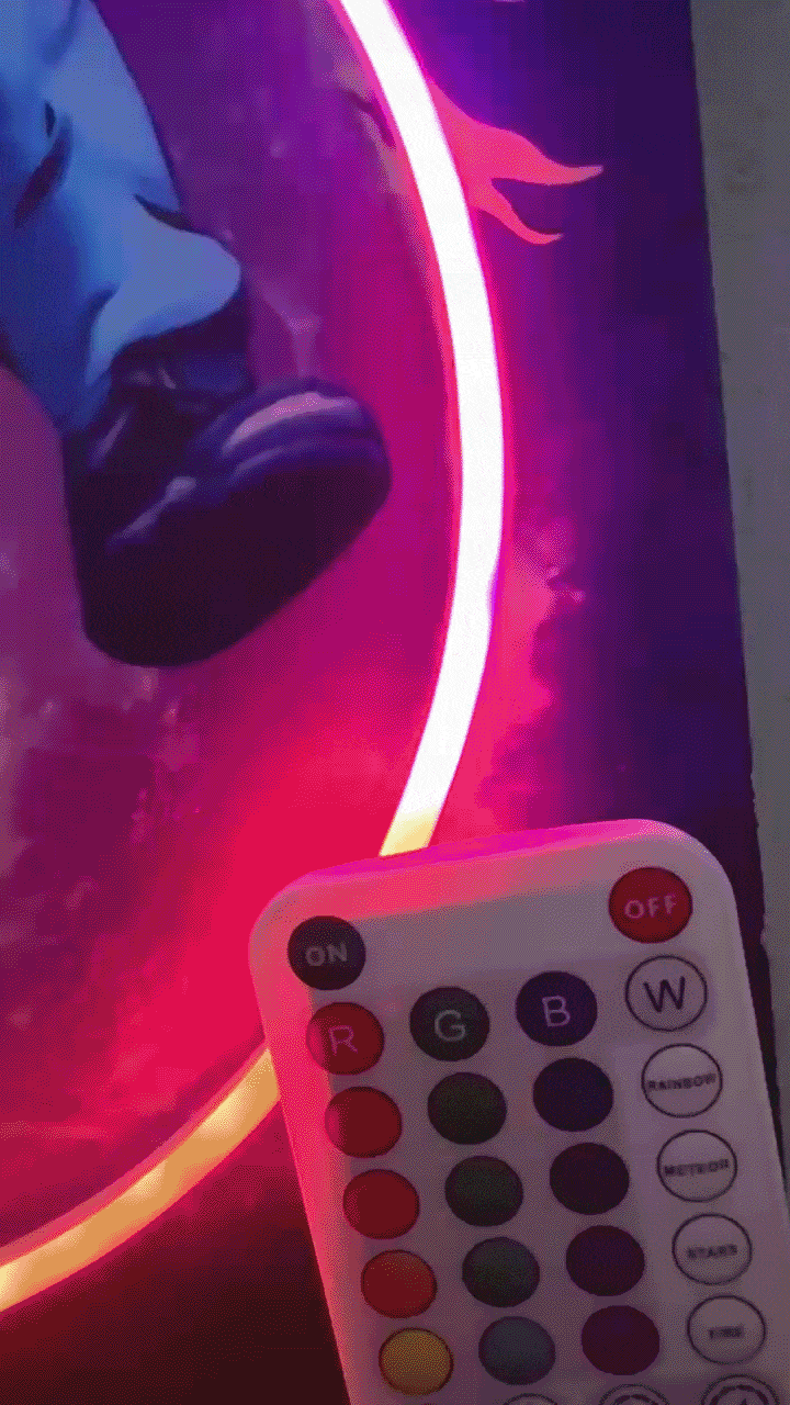 DeLorean - Quadretto con Neon Led (disponibile in RGB)