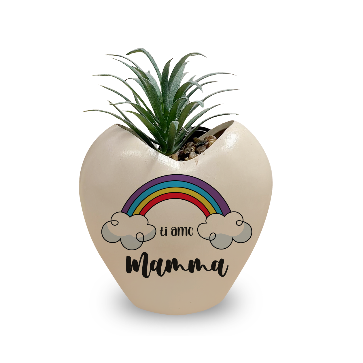 Mamma rainbow - Piantina con vaso