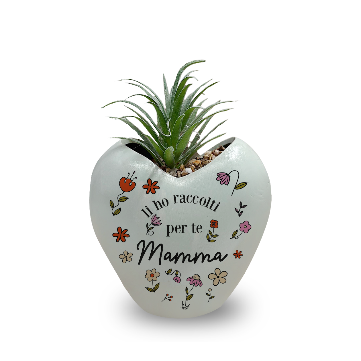 Li ho raccolti per te mamma - Piantina con vaso
