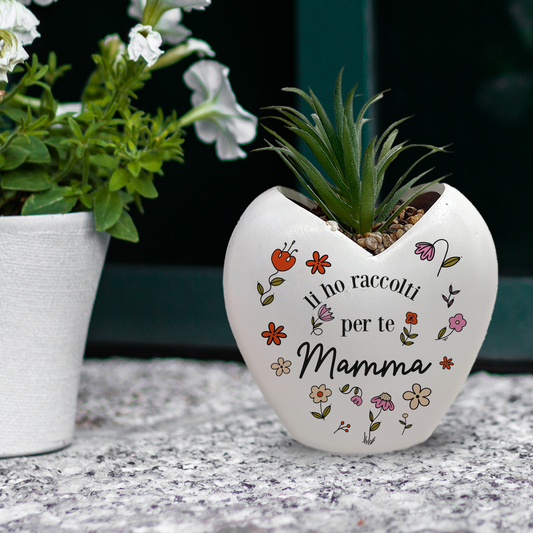 Li ho raccolti per te mamma - Piantina con vaso