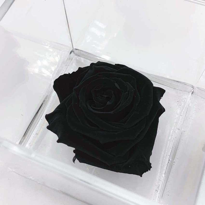 Happy Valentine's day - Rosa Eterna personalizzata