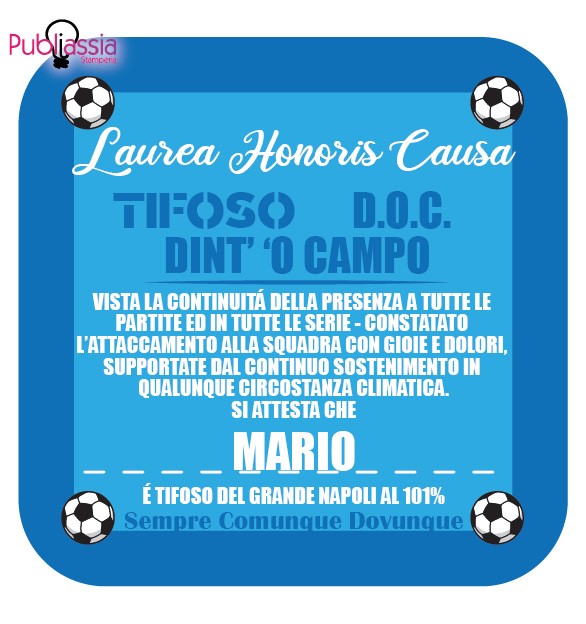 Tifoso D.O.C. - quadretto in tela