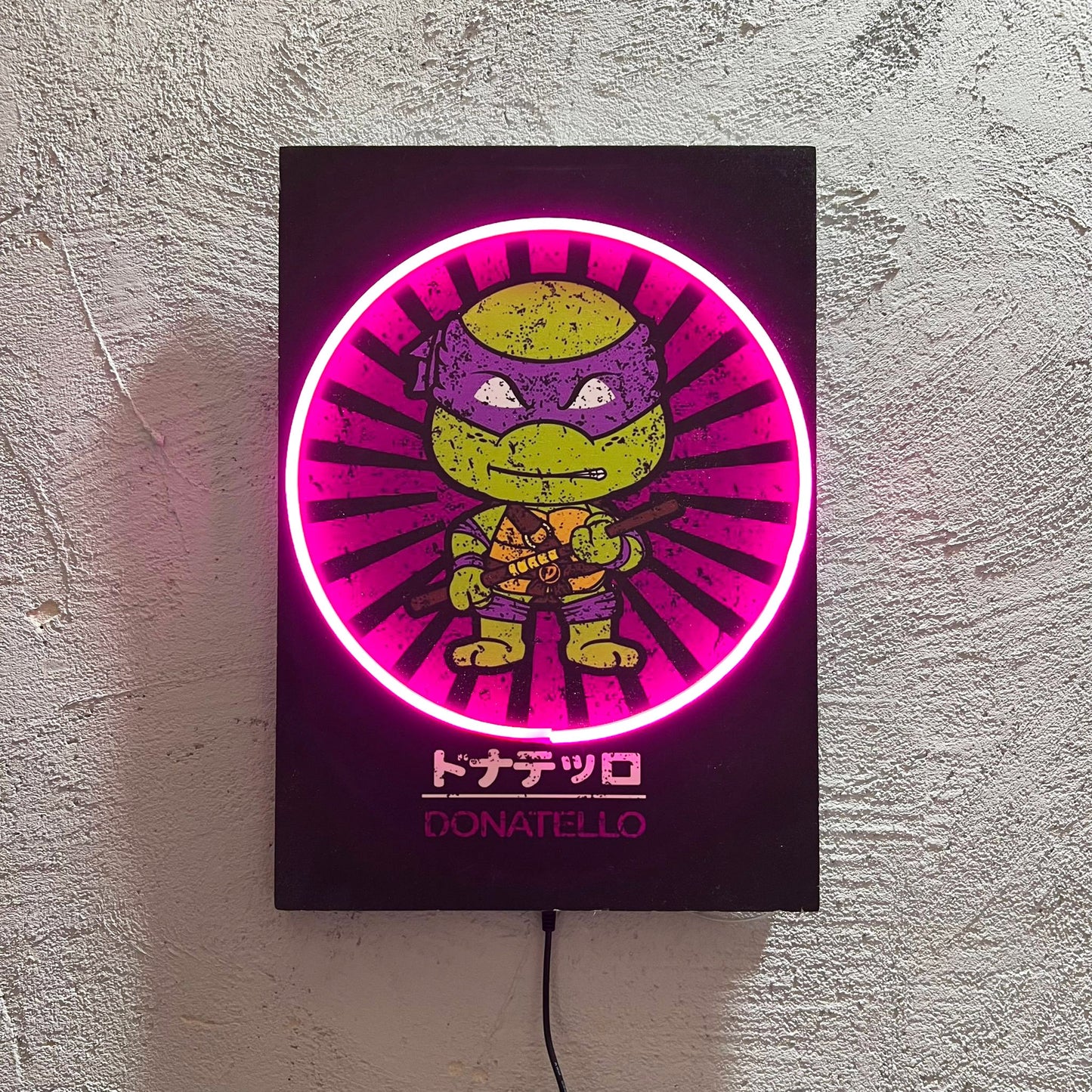 Donatello - Quadretto con Neon Led