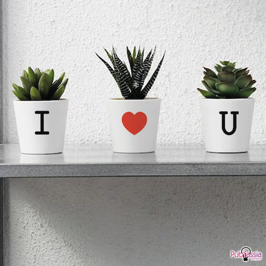 I love You - Set 3 Piantine artificiali Personalizzate