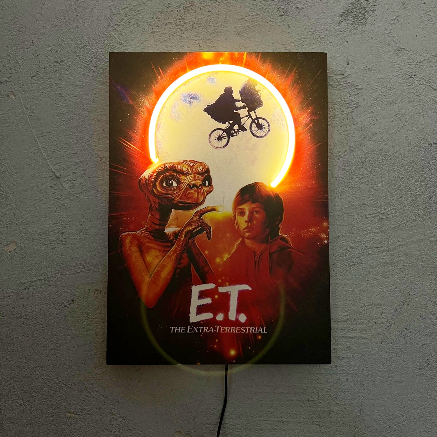 Extra Terrestrial - Quadretto con Neon Led