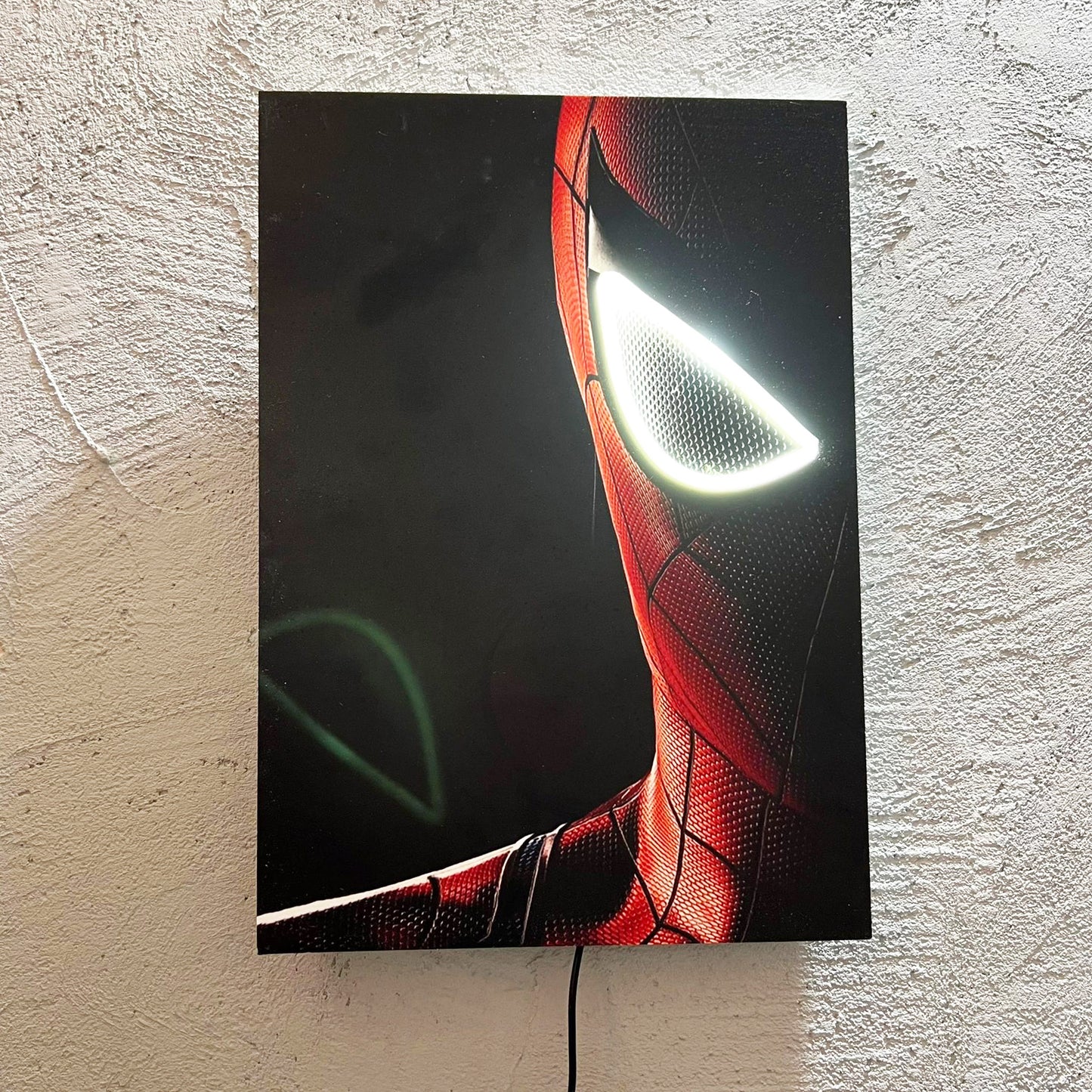 Spider - Quadretto con Neon Led