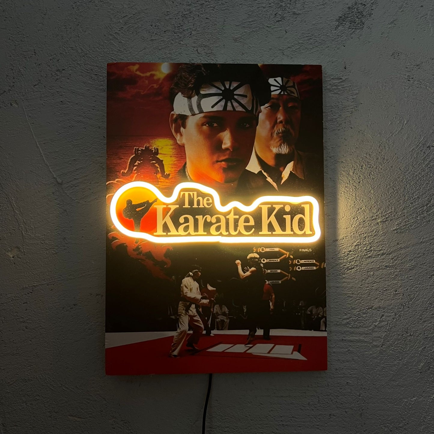 Karate - Quadretto con Neon Led