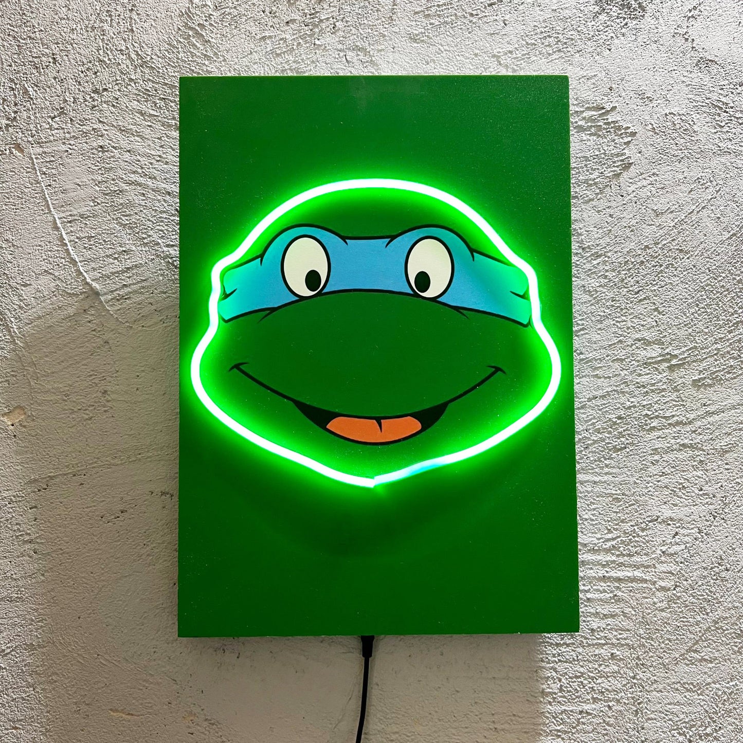 Leo - Quadretto con Neon Led