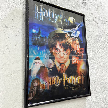 Harry - Quadretto poster 3D