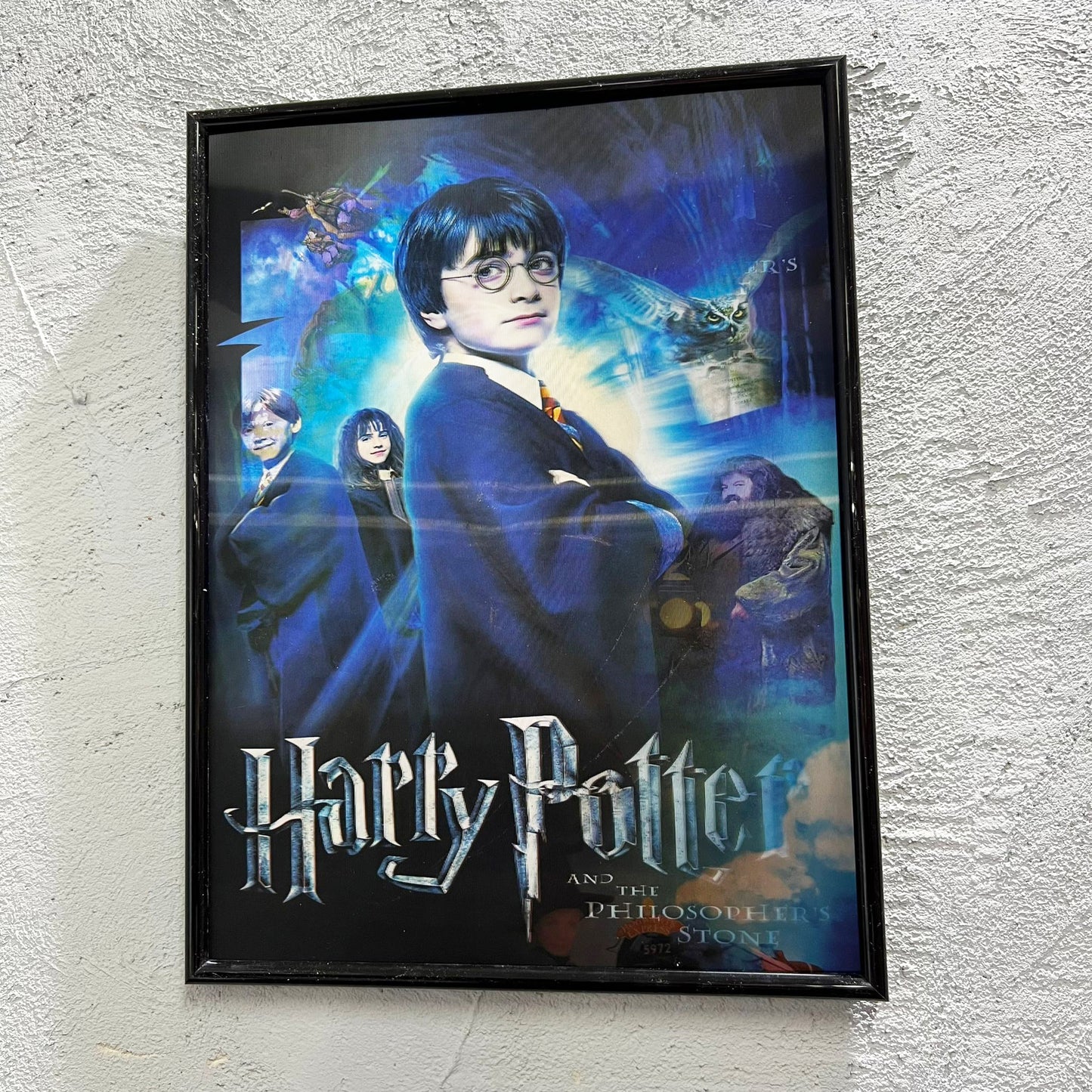 Harry - Quadretto poster 3D