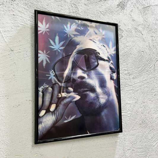 Snoop - Quadretto poster 3D