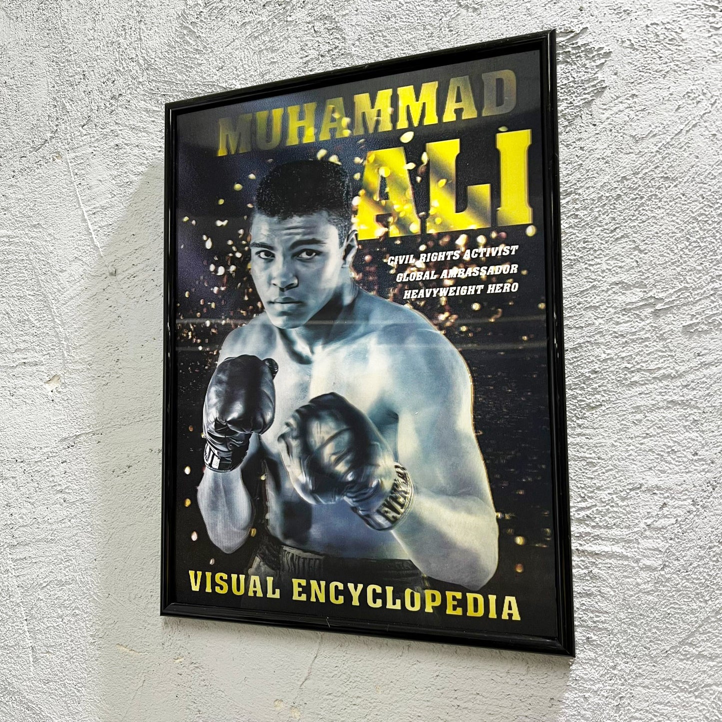 Boxe - Quadretto poster 3D