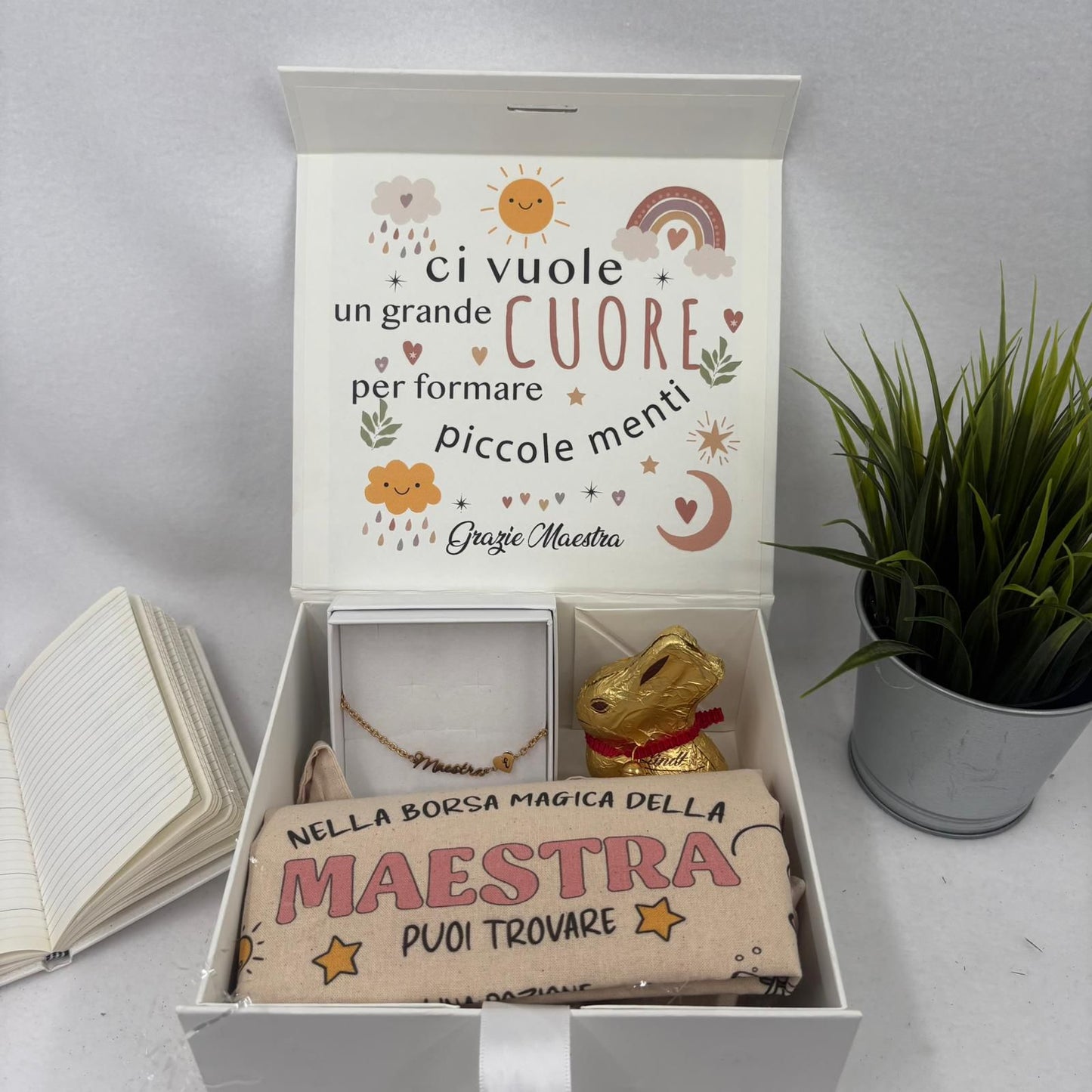 Box Maestra - Ci vuole un grande cuore per formare piccole menti