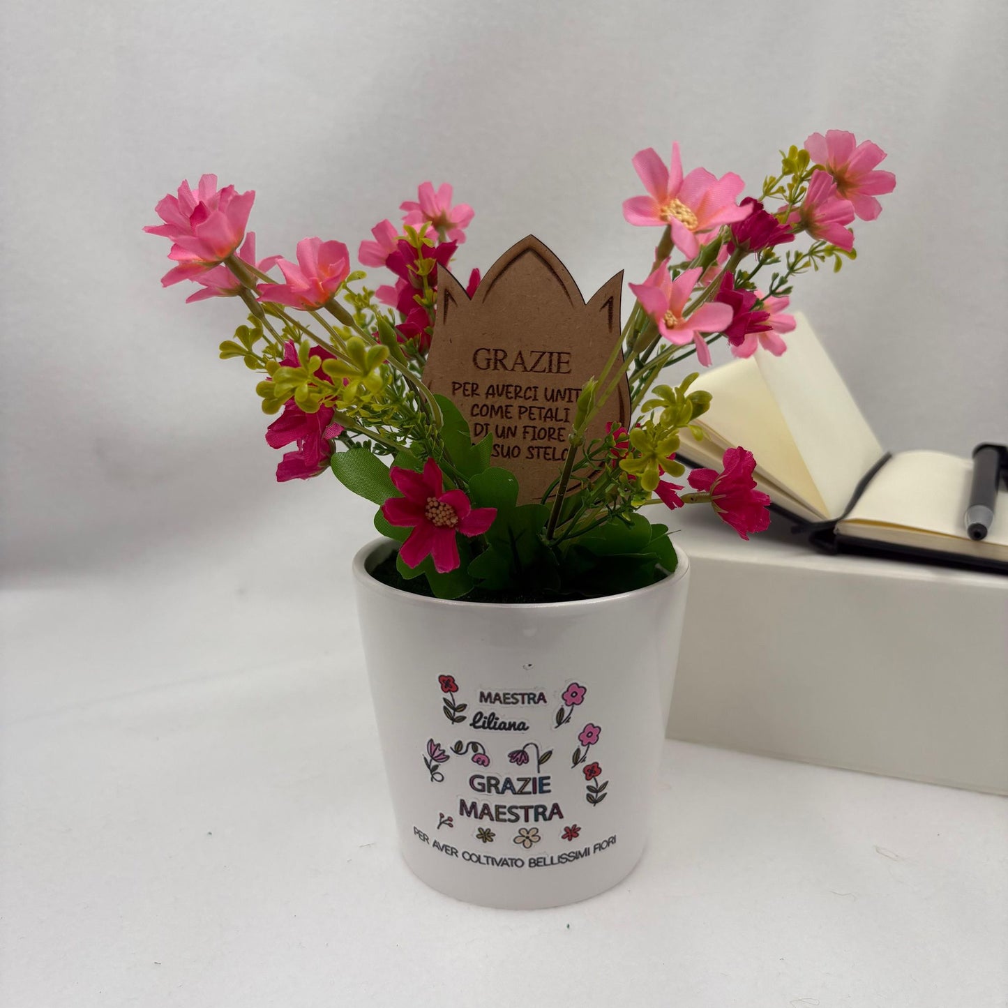 Grazie maestra - piantina