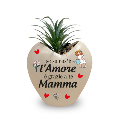 L'amore di mamma - Piantina con vaso