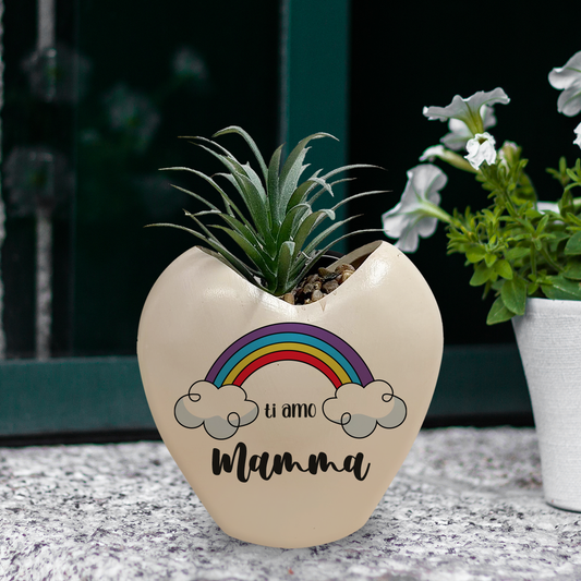 Mamma rainbow - Piantina con vaso